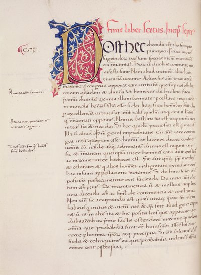 Ms.228, f.54v: Seite aus Aristoteles